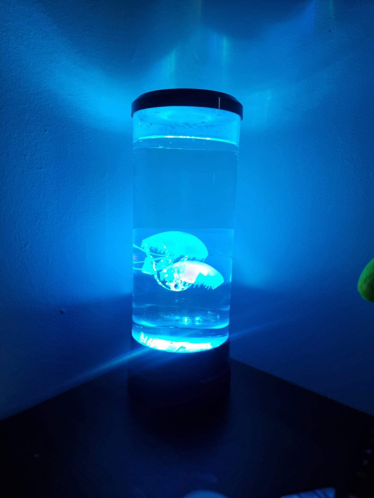 Luz Nocturna Con Forma De Medusa Luz Qu